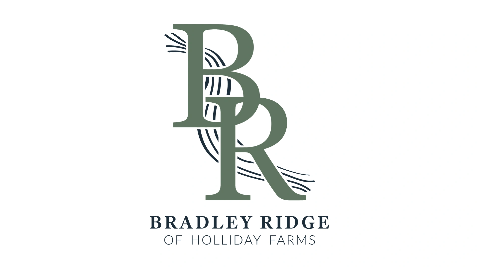 Photo representing Bradley Ridge, Zionsville